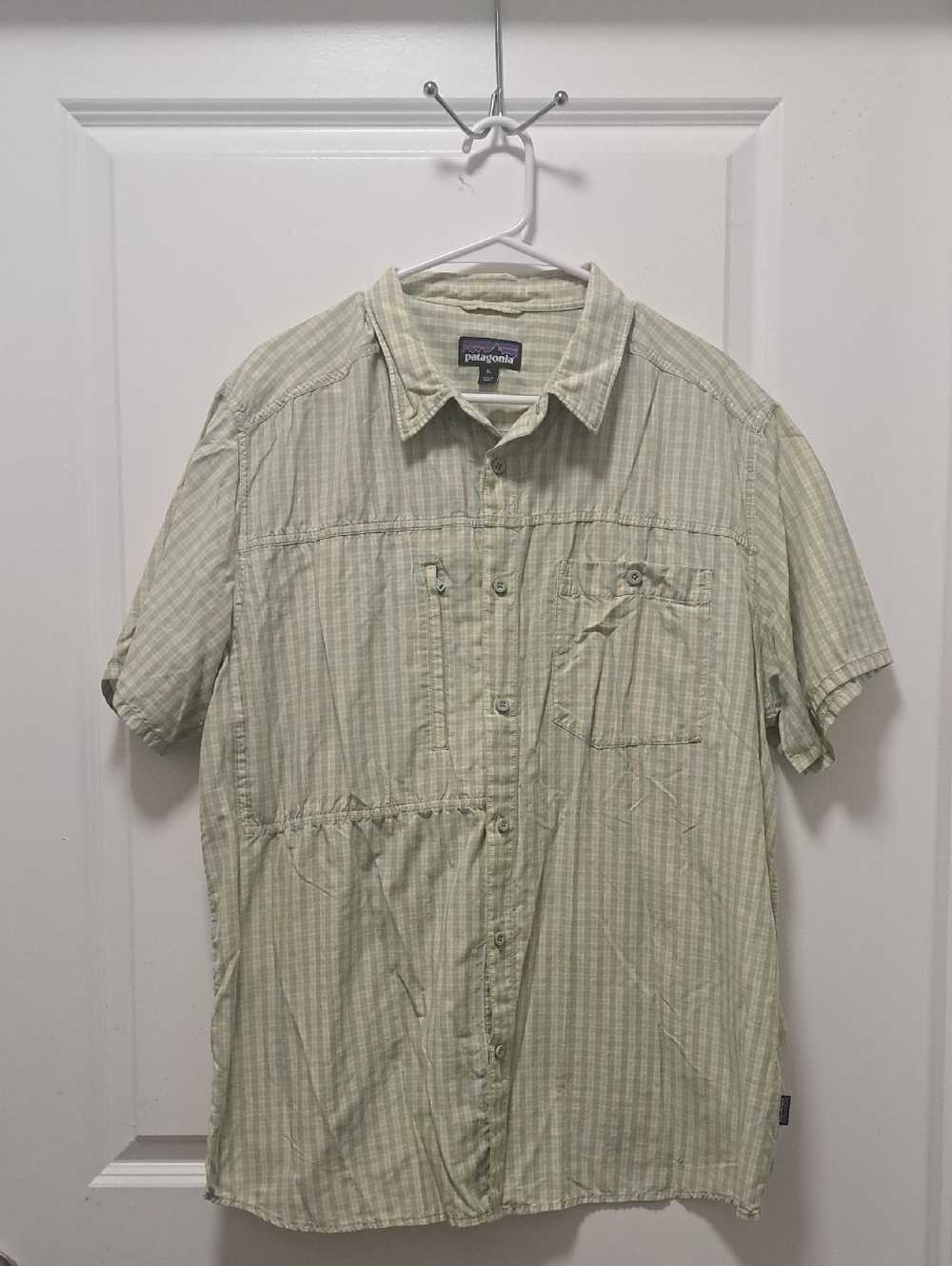 Patagonia Short-Sleeve Button-Down Shirt in Pale Green Stripe